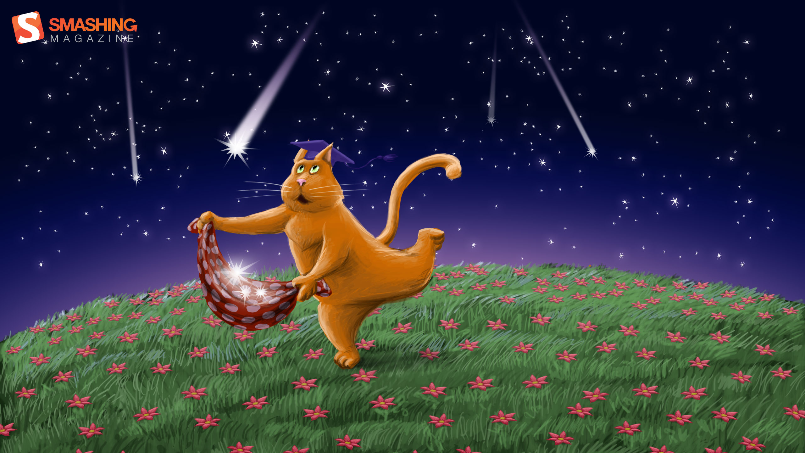 На небо за звездочкой. Кот и звезды. Кот ловит звезды. День собирания звезд. Ловит падающую звезду.