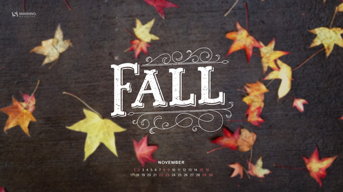 My First Fall