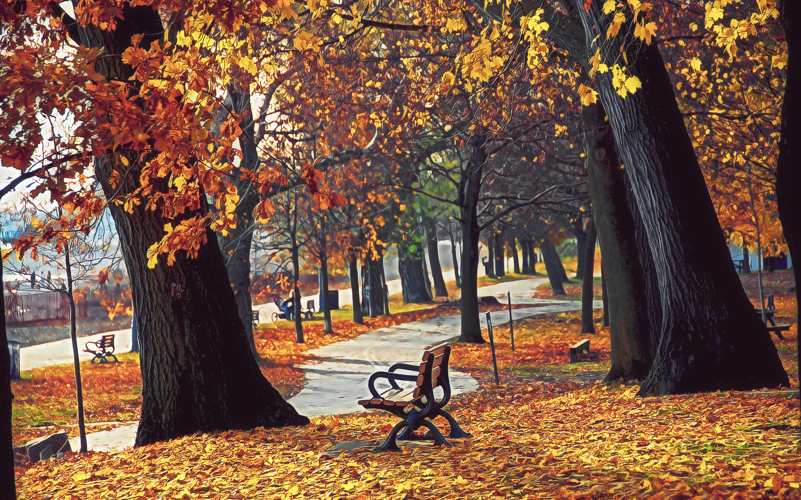 Осенний останавливаться. Осенний парк. Парк осенью. Осень в парке. Осенний парк фото.