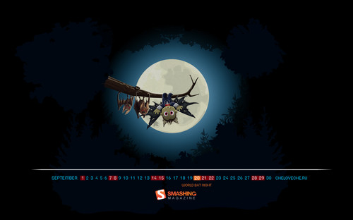 World Bat Night